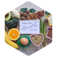 what-is-folic-acid