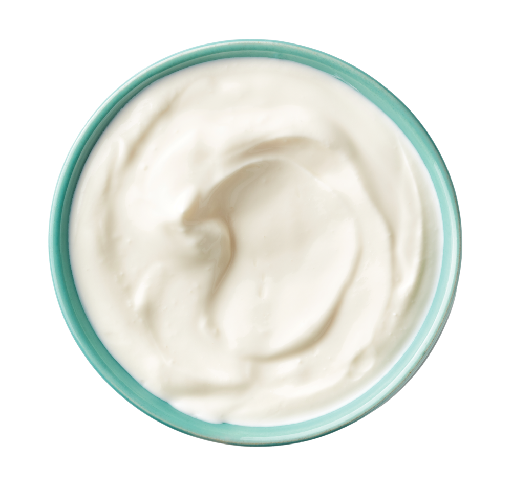bac_yogurt-plain