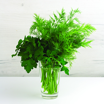 Storing Fresh Herbs