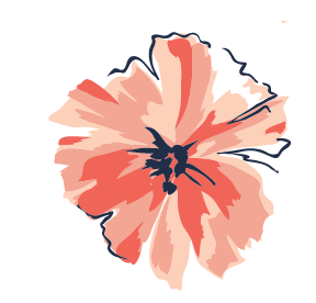 pink background flower